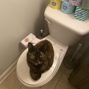 Meet your Posher, Carley